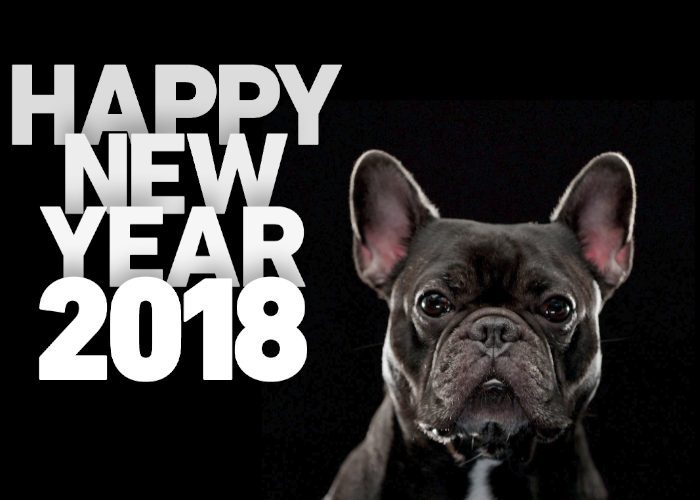 HAPPY NEW YEAR 2018 – Qlip Co., Ltd