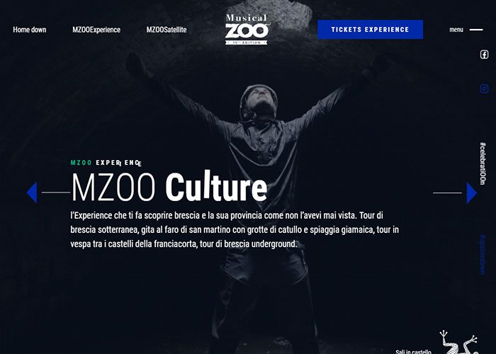 Musical-Zoo-Festival