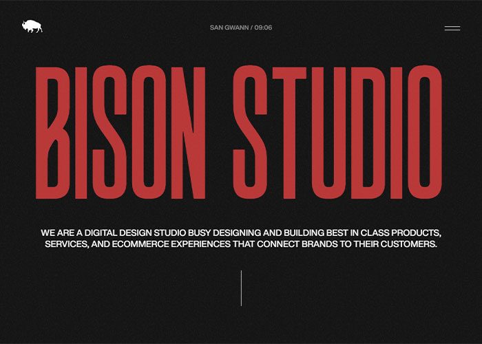Bison-Studio